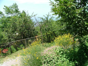 Отель Agriturismo La Ginestra  Вико-Экуенсе